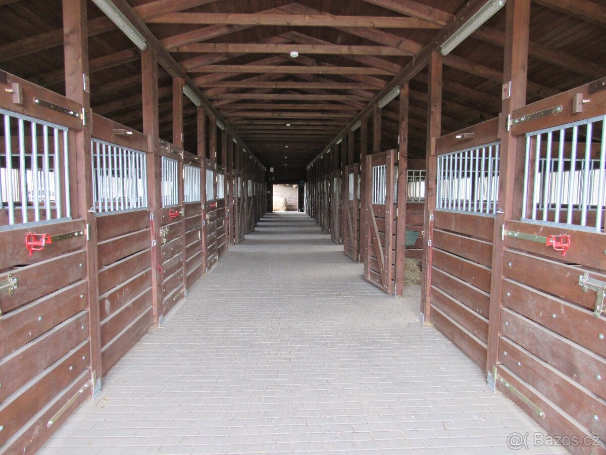 Nabízím boxové a venkovní ustájení koní. - 2