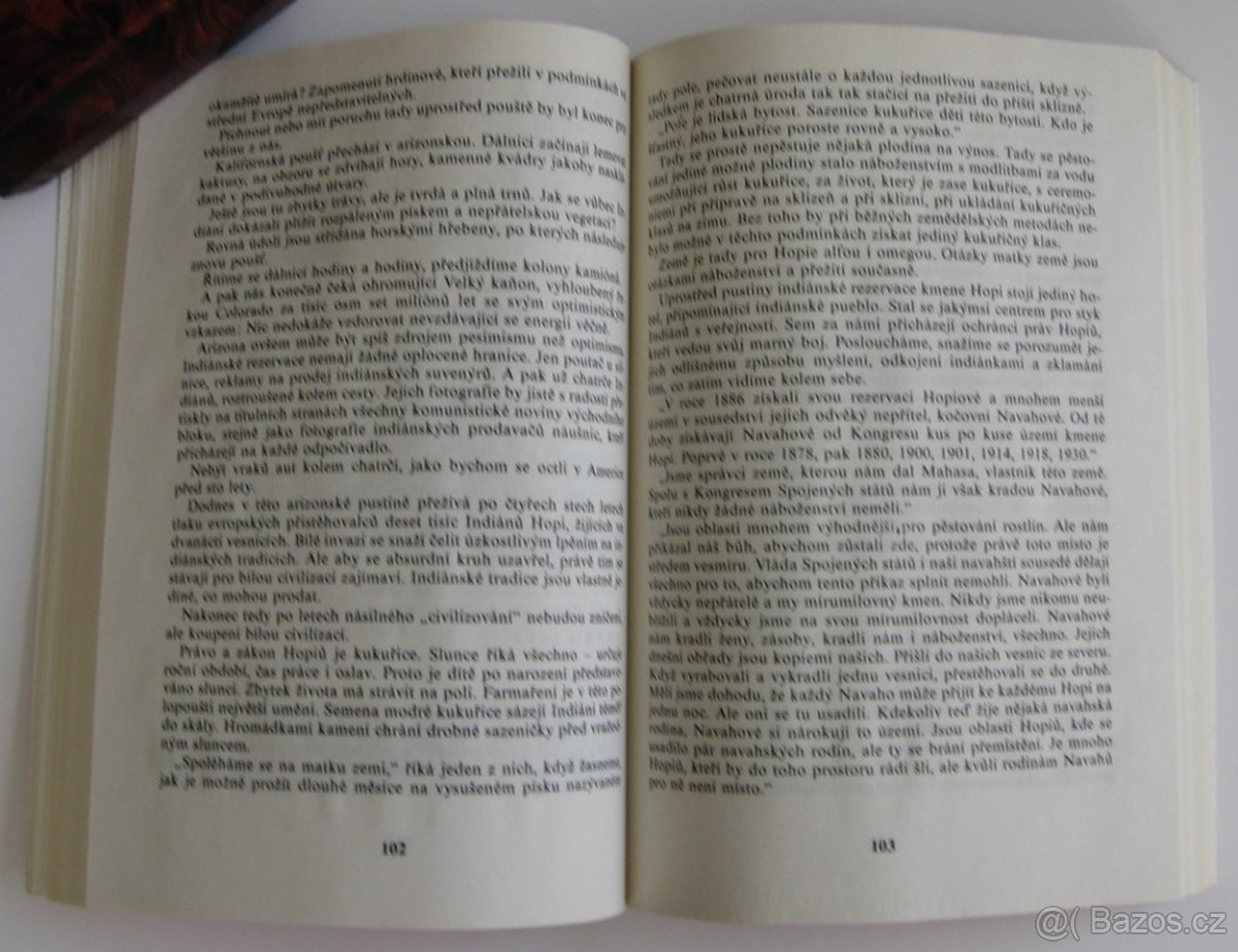 RADEK JOHN: JAK JSEM VIDĚL AMERIKU - 2