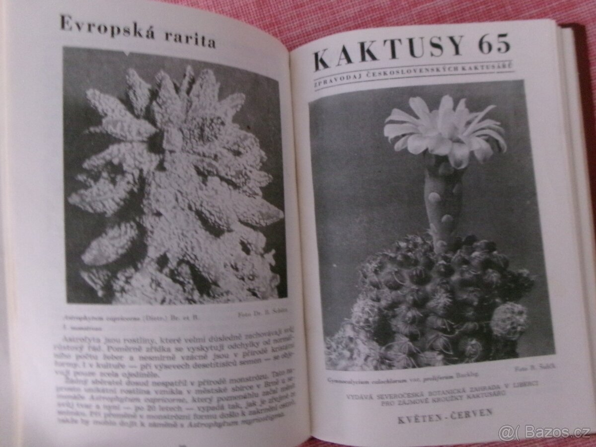 Kaktusy kompletní ročníky 1965 - 1974. - 2
