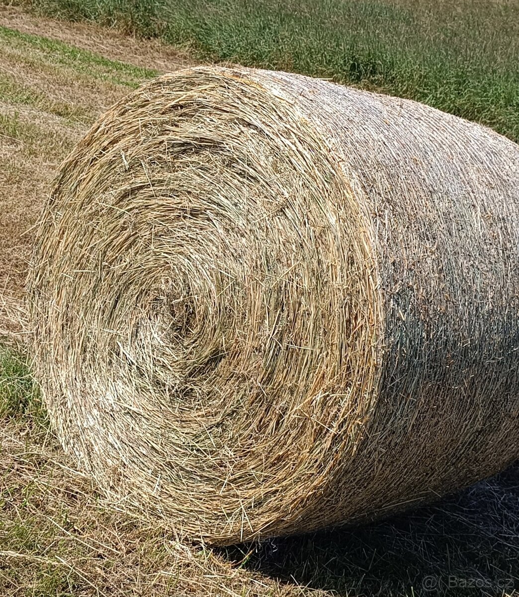 Letošní seno - 2