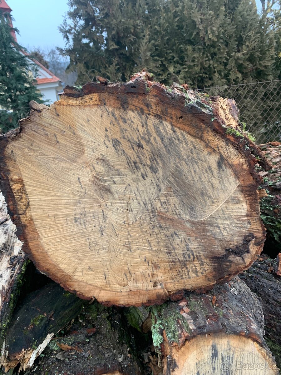 Prodám dubový špalek na štípání dřiví. - 2