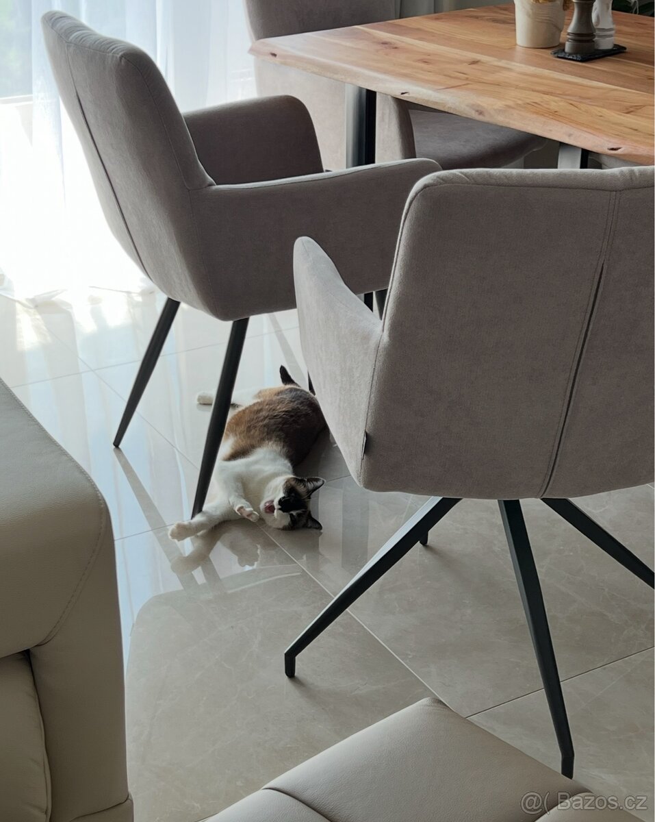 jídelní set – masivní stůl + 6 polstrovaných židlí - 2