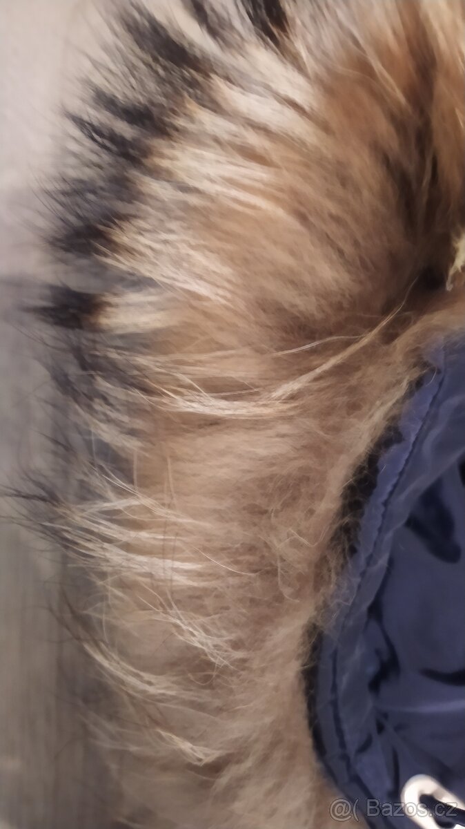 Bunda damska GAASTRA - 2