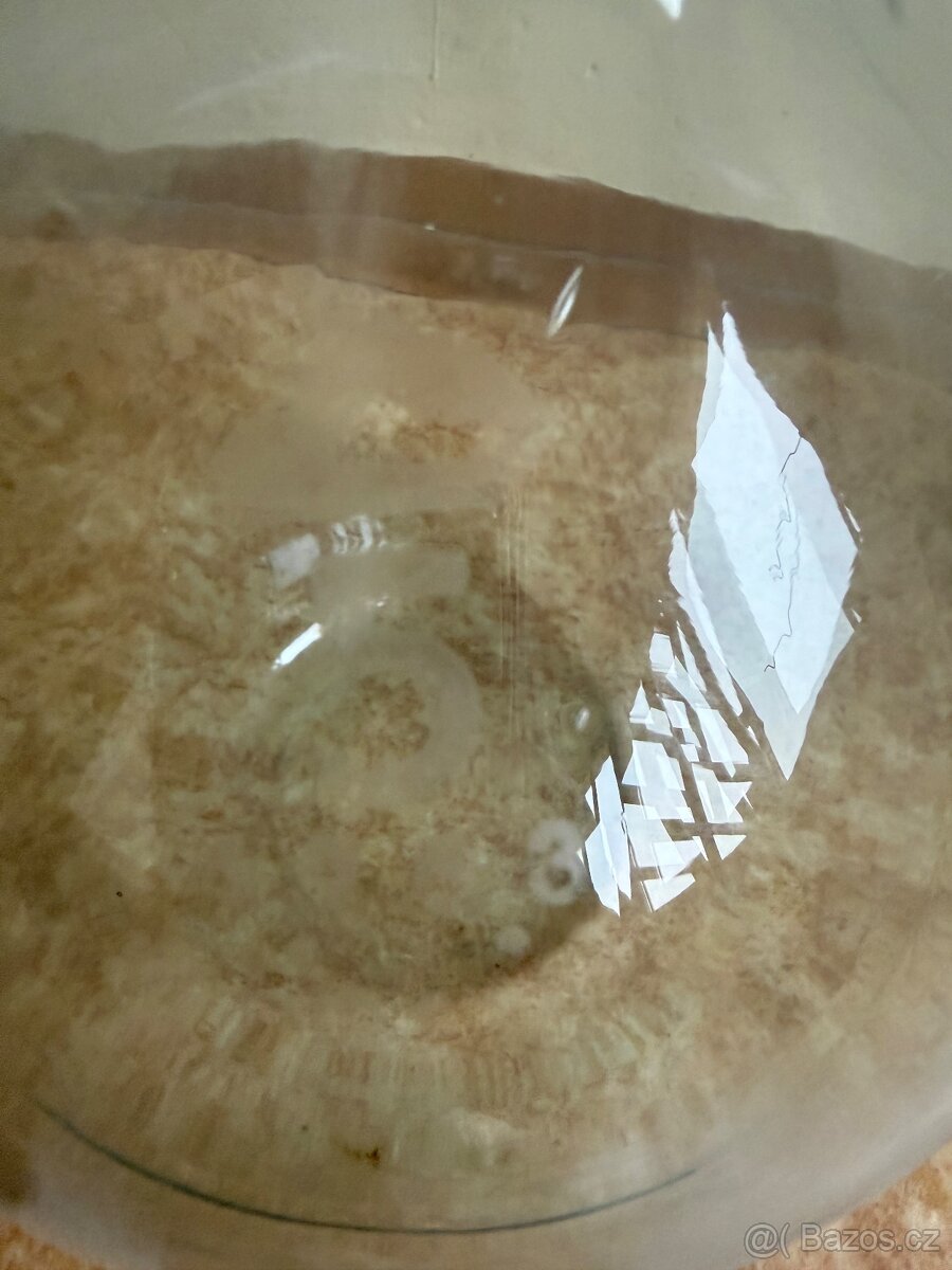 Velká karafa 1963 rok - 2