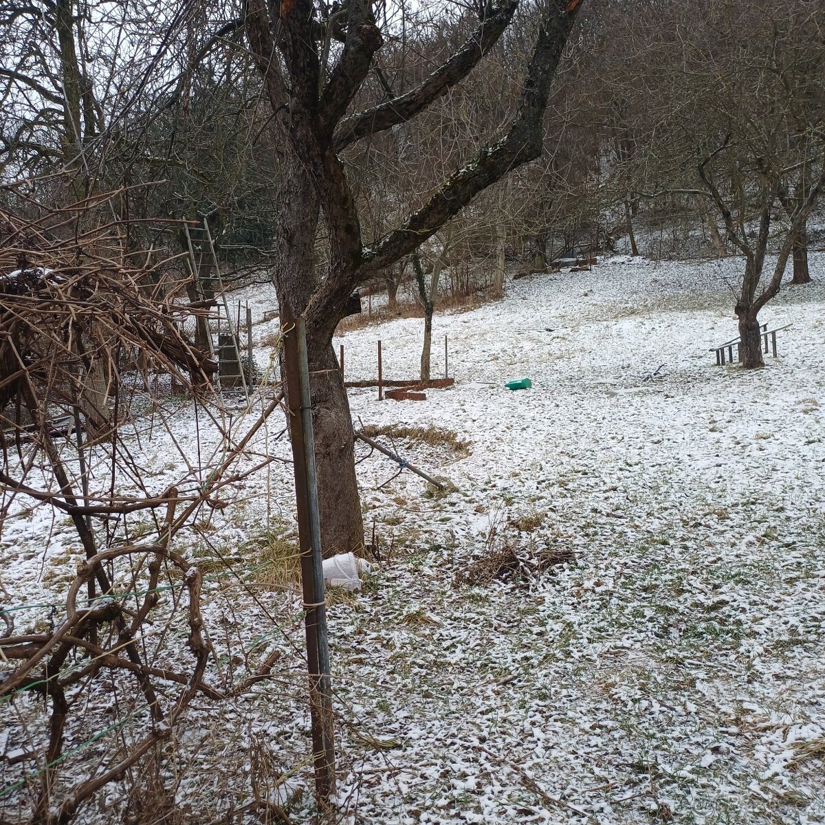 Pronájem zahrady - 2