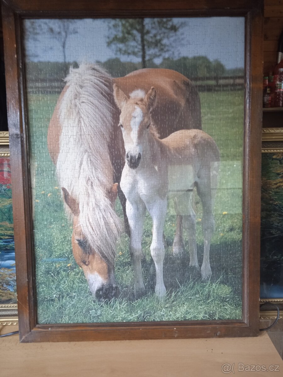 Obraz na zeď z puzzle - 2