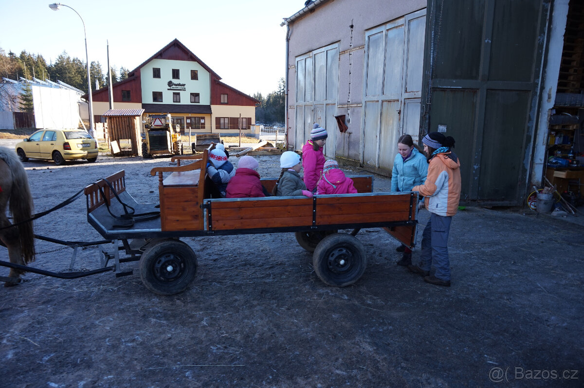 SÁNĚ A VŮZ ZA KONĚ - prodám - 2