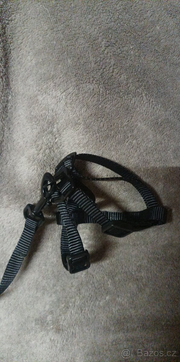 Postroj a vodítko pro králíka - 2