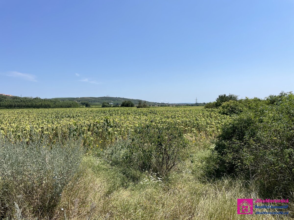 Prodej zemědělská půda, 17 804 m² - Přítluky - Nové Mlýny - 2