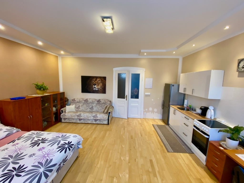 Pronájem bytu 1+kk, Náves Svobody, Olomouc - Holice - 2