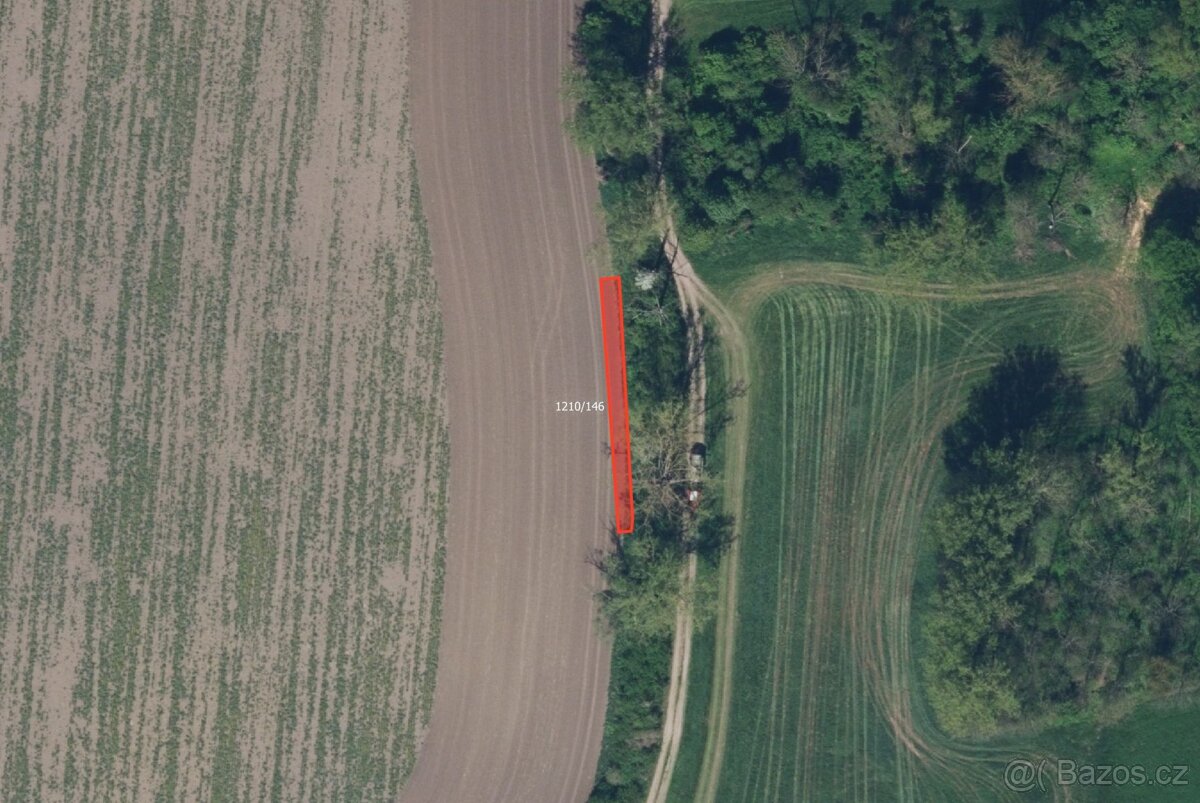 Zemědělská půda, prodej, Bohuslavice, Náchod - 2