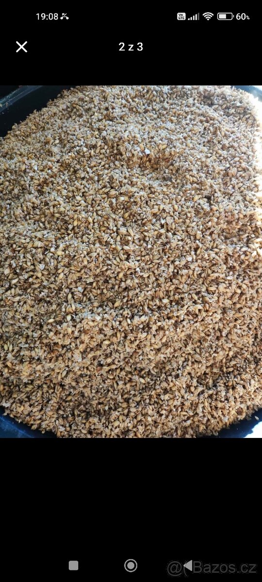 ČERSTVÉ MLÁTO - 2