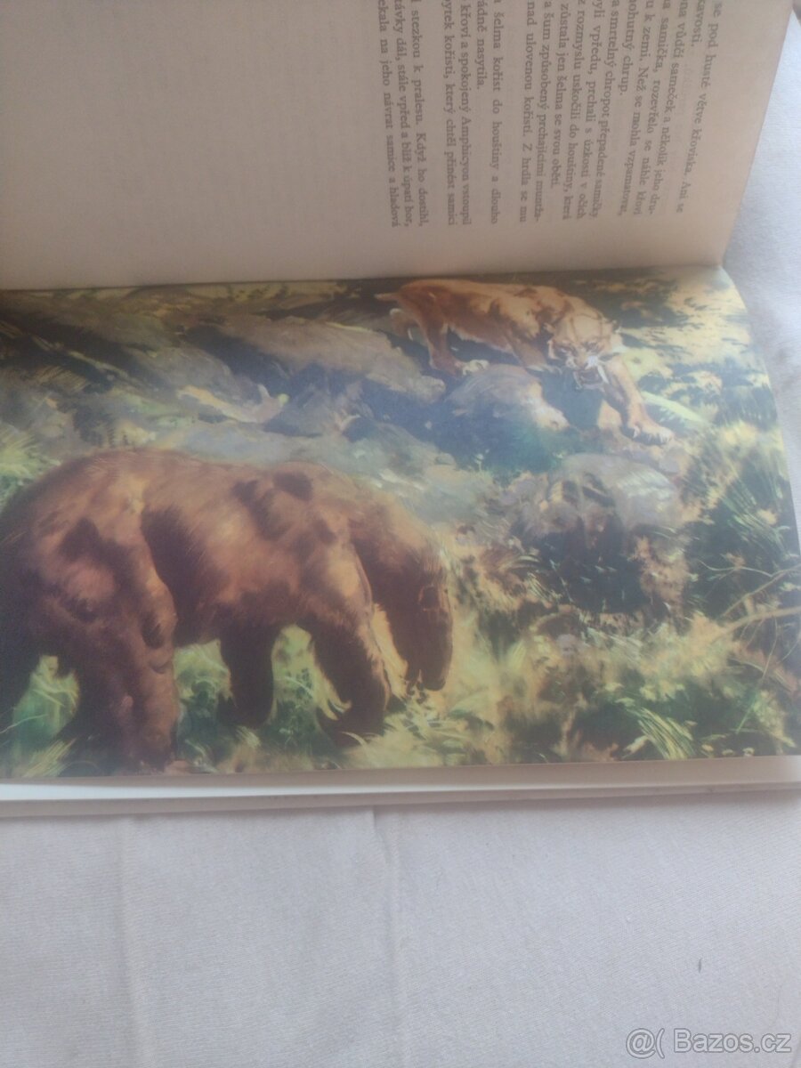 Z hlubin pravěku - 2