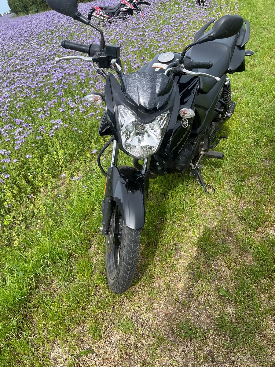 YAMAHA YS125 - 2
