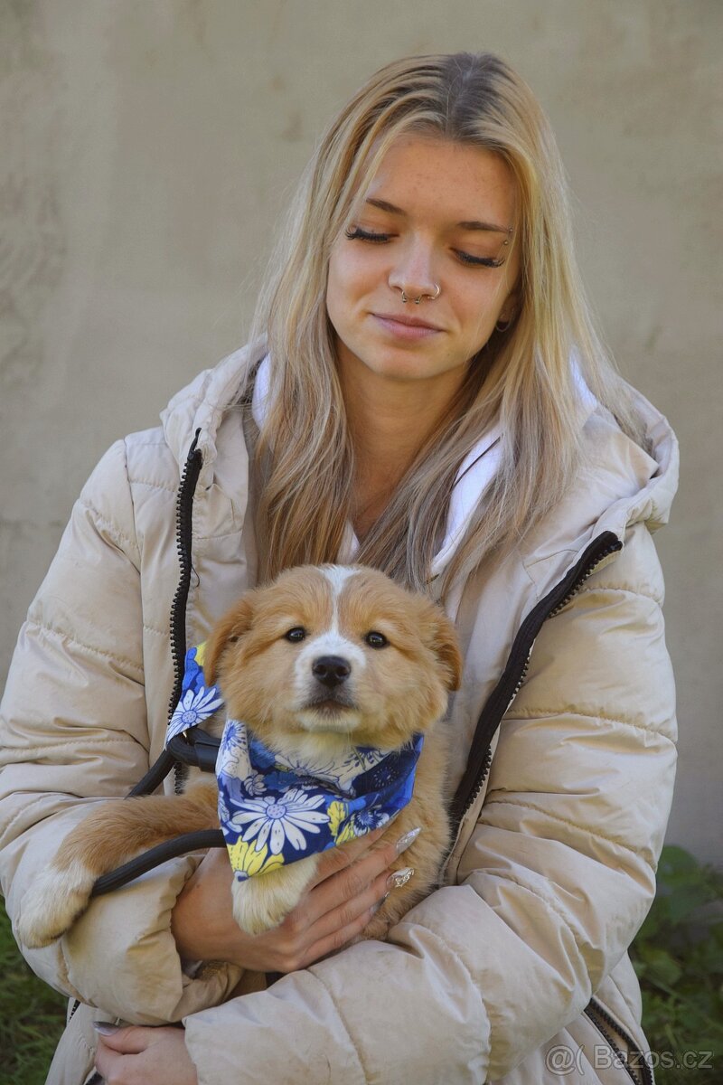 Balisha rezervace - 2