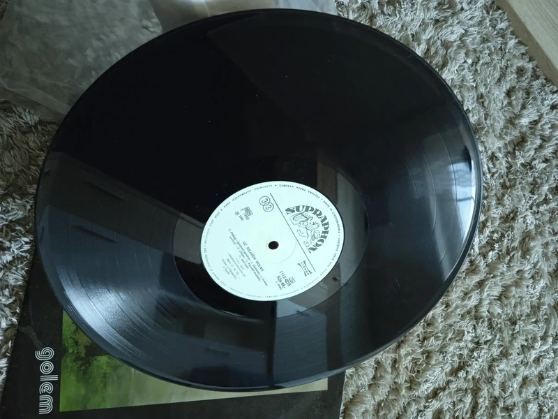 LP - Petra Jan: Už nejsem volná - 2