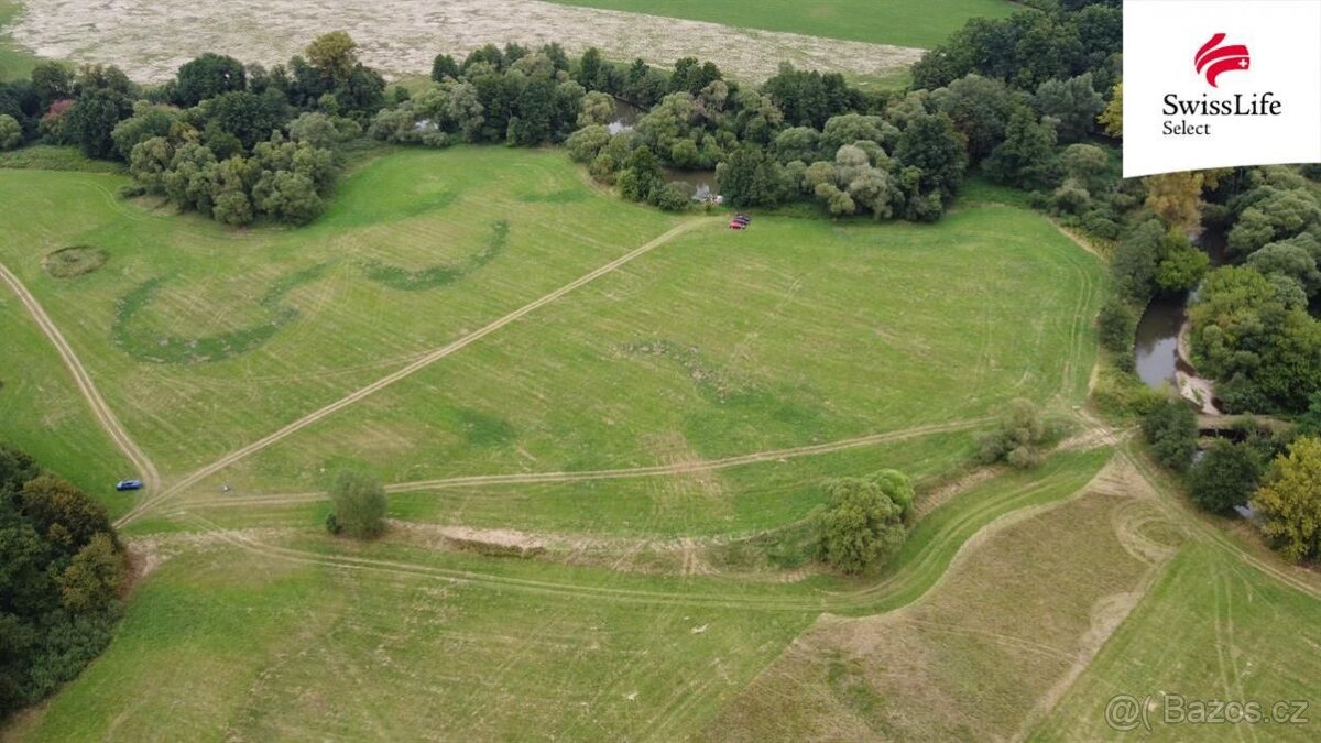 Prodej louky 25790 m2 Borohrádek - 2