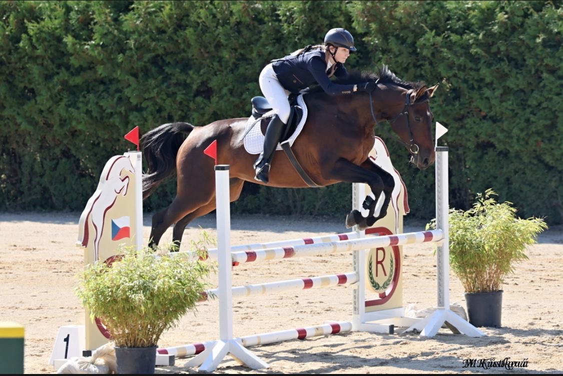 Krásná klisna na prodej - 2