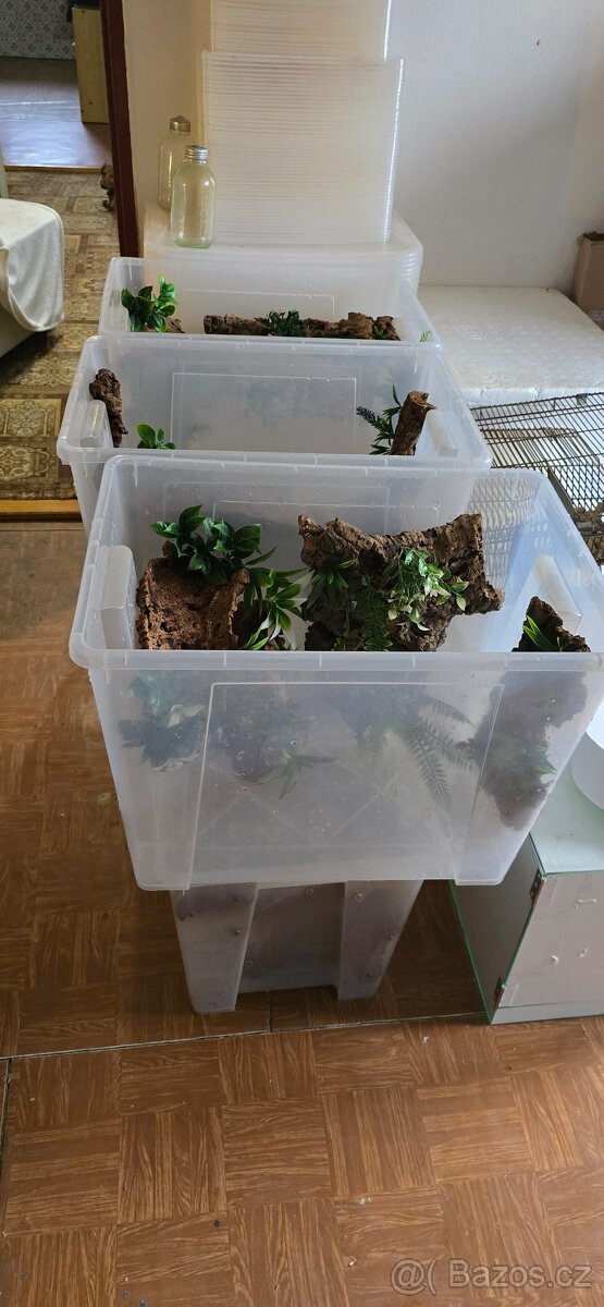Chovné boxy pro pagekony - 2