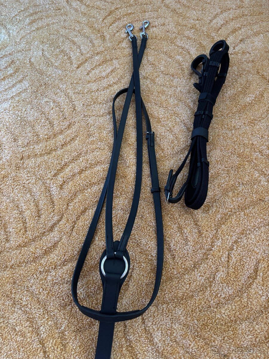 Martingal s pomocnými otěžemi - 2