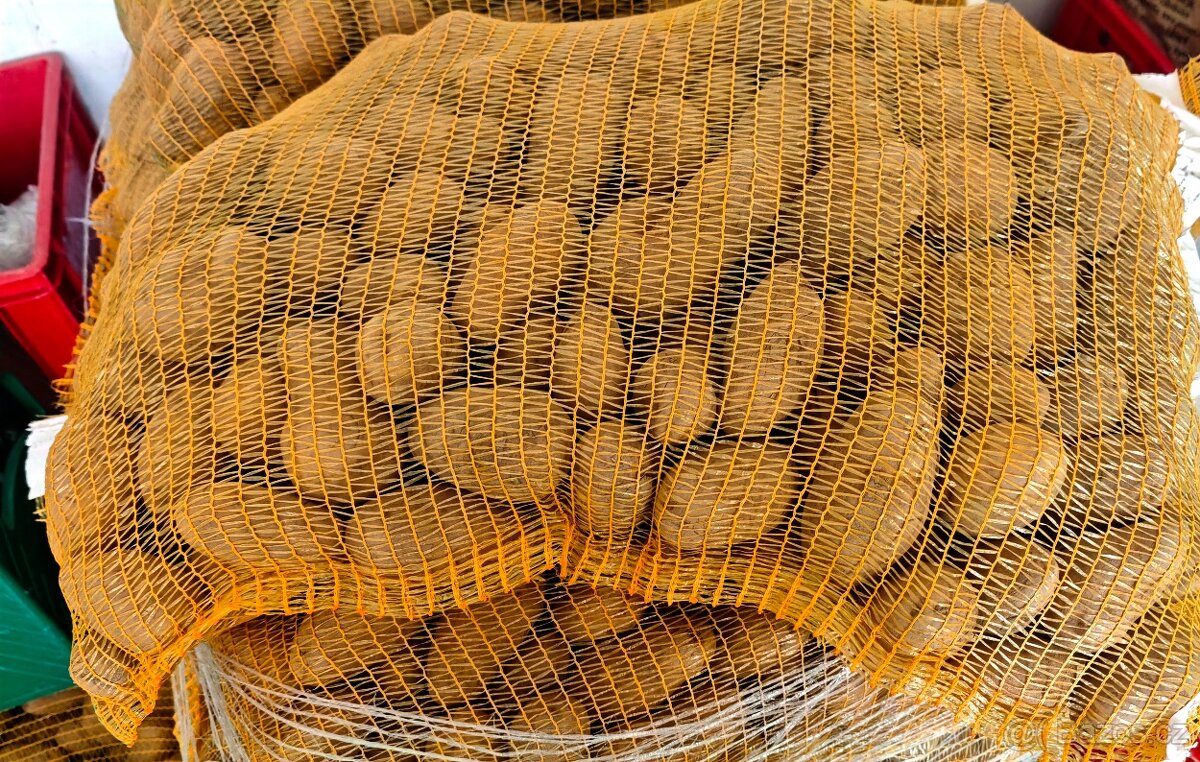 Brambory k uskladnění - 2