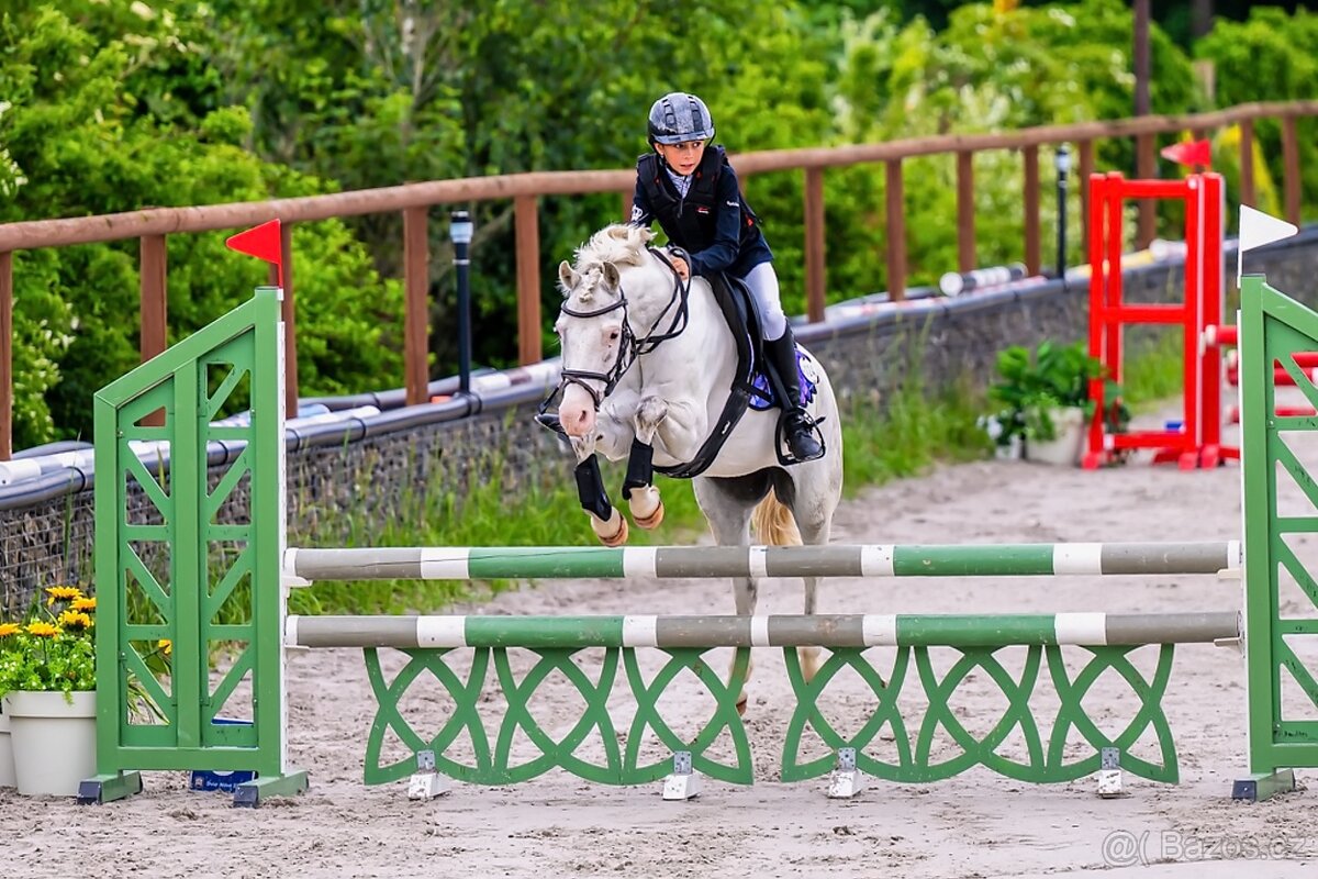 Pony valach kat. A - 2