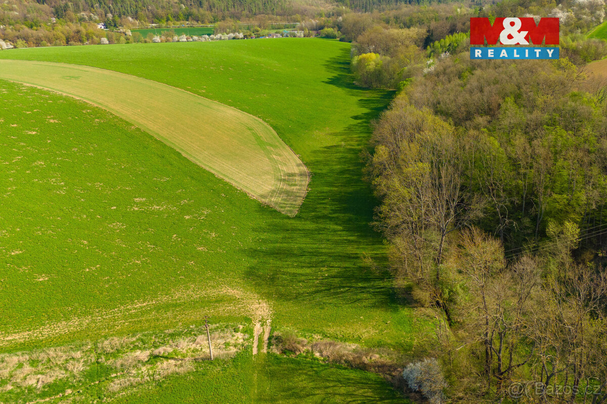 Prodej pole, 4100 m², Bílá Lhota - 2