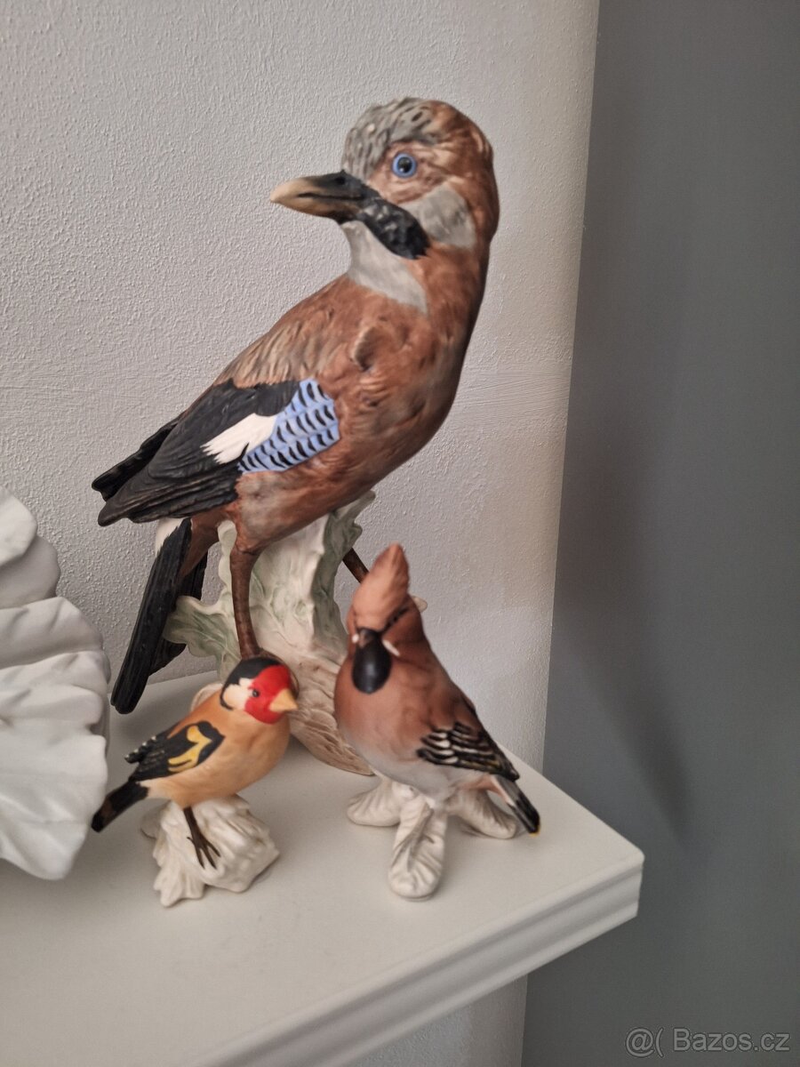 Koupím porcelánové ptáčky - 2