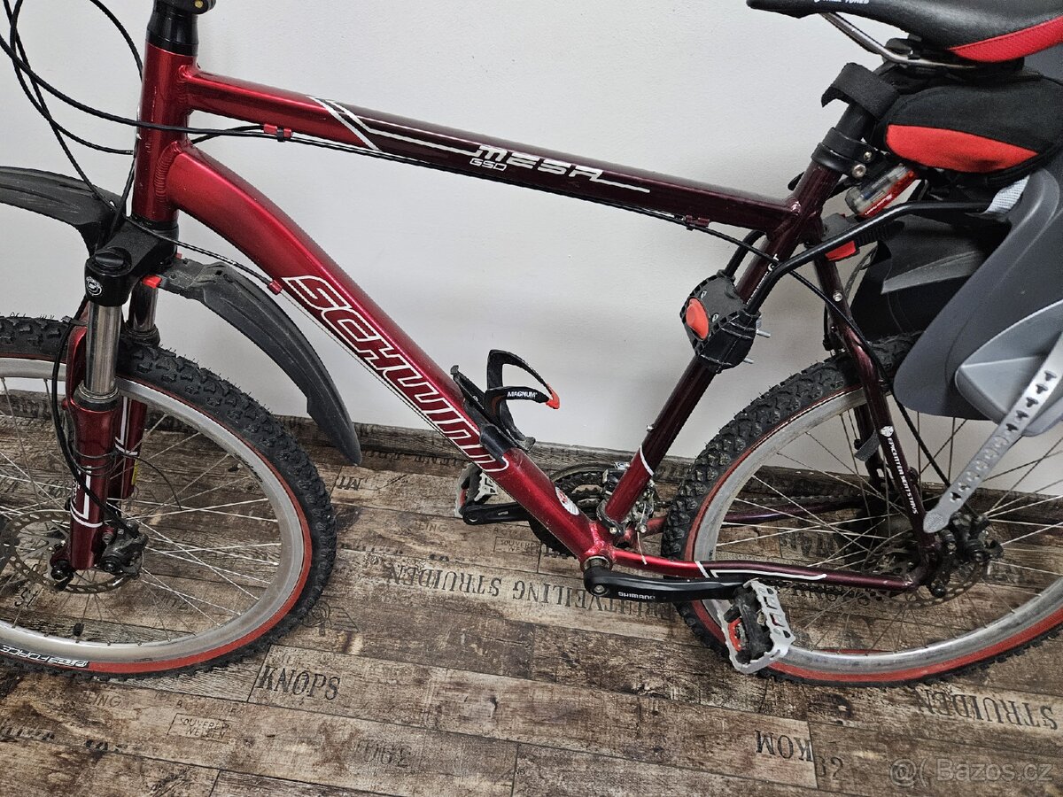 Panské kolo Schwinn vč. dětské sedačky - 2