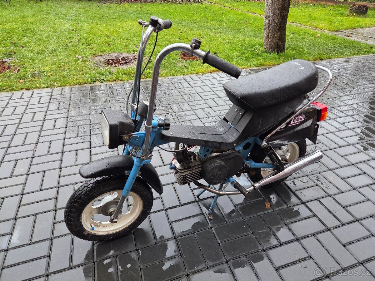 MOKIK Babetta - STELLA vzácná - 2