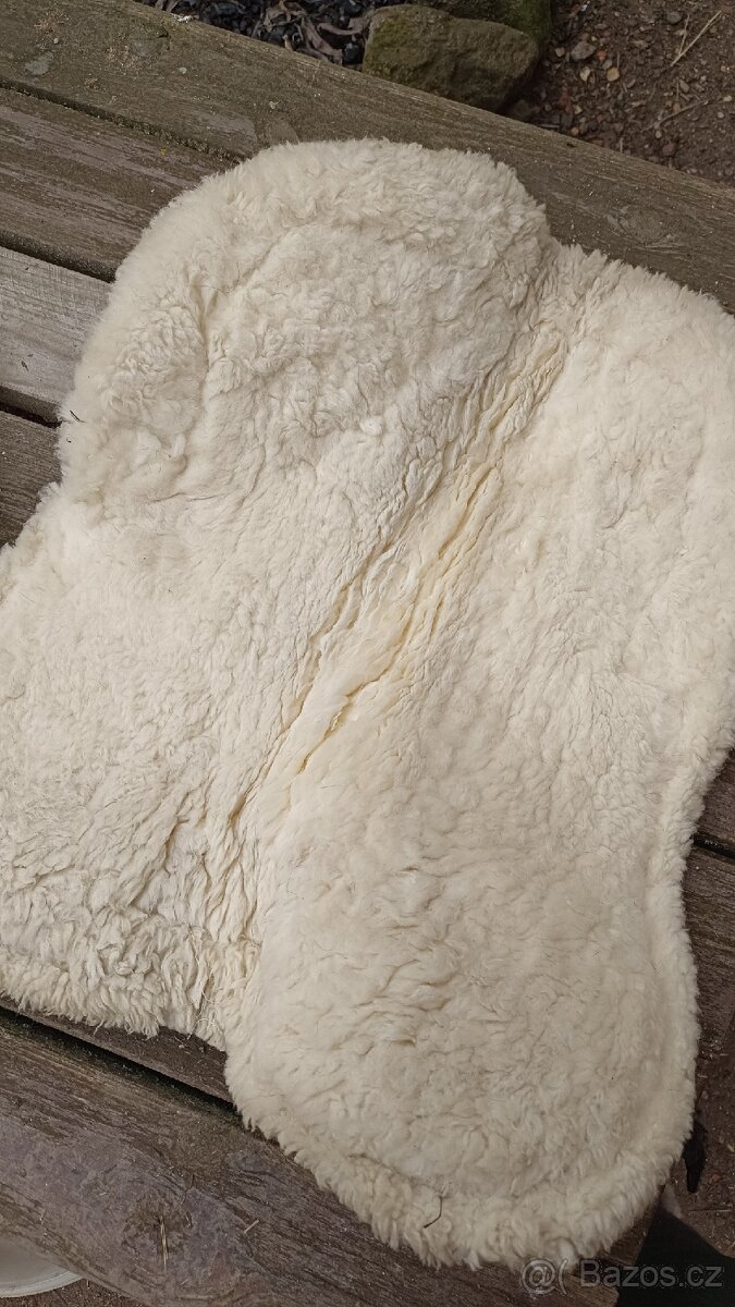 Beránek pod sedlo - 2