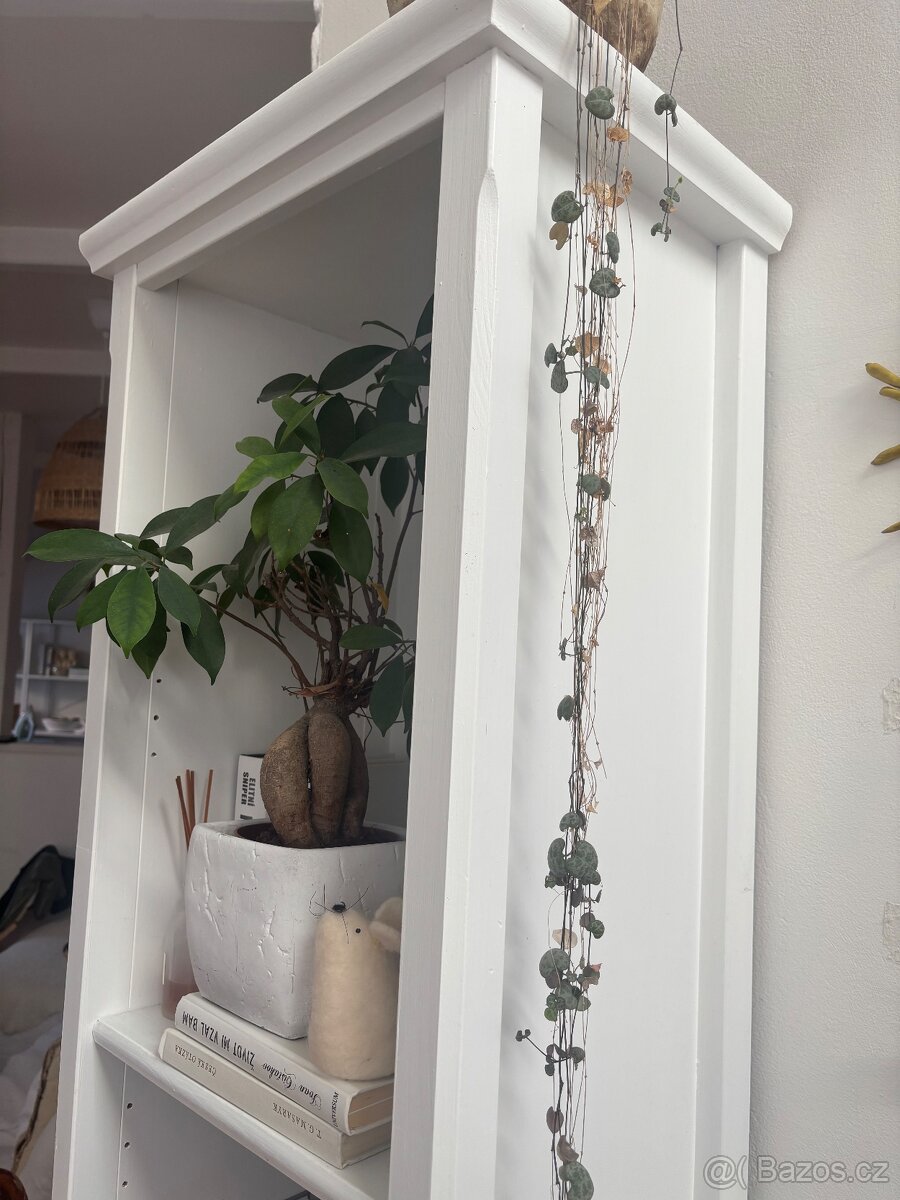 Knihovna dřevěná - 2