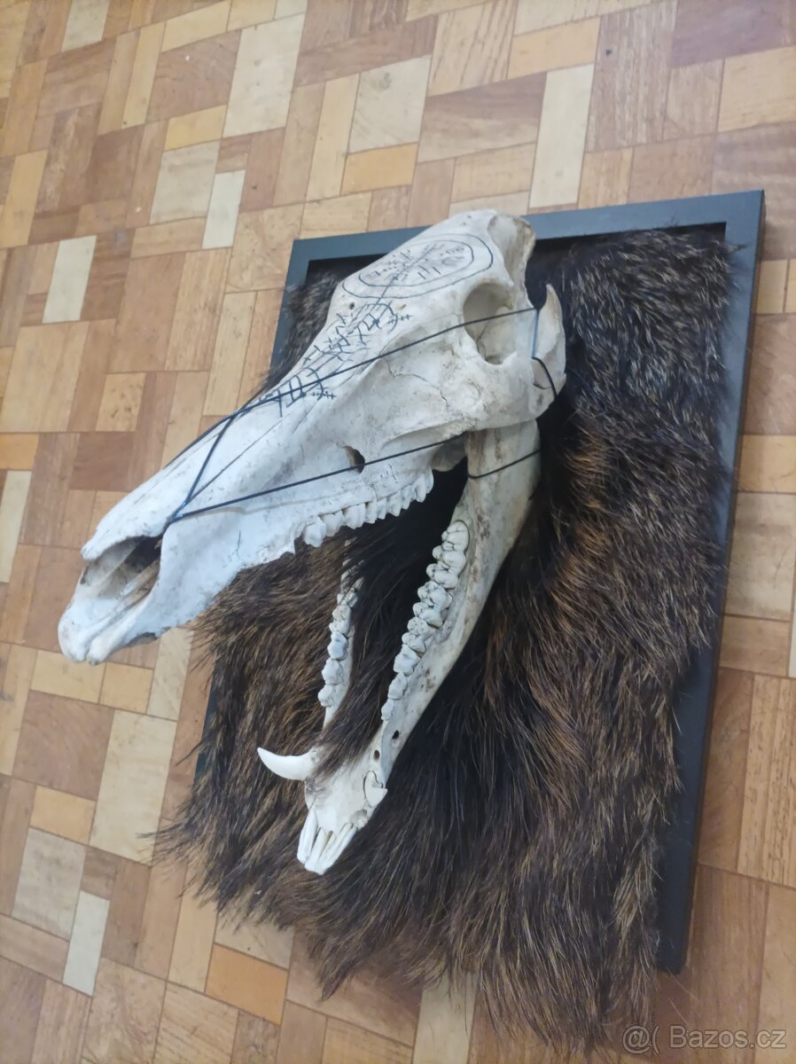 Interaktivní rámeček - Severská síla - 2