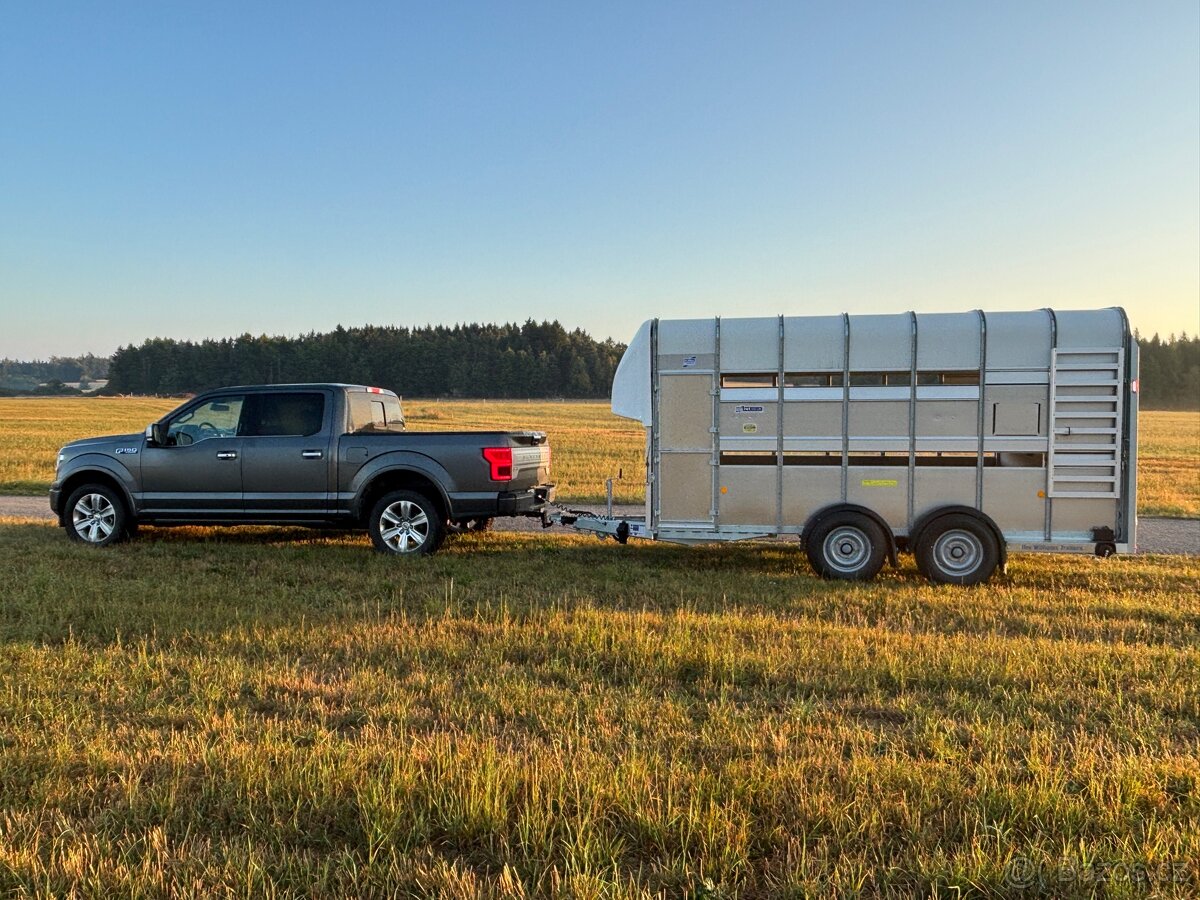 Nabízím přepravu hospodářských zvířat a menších koní - 2