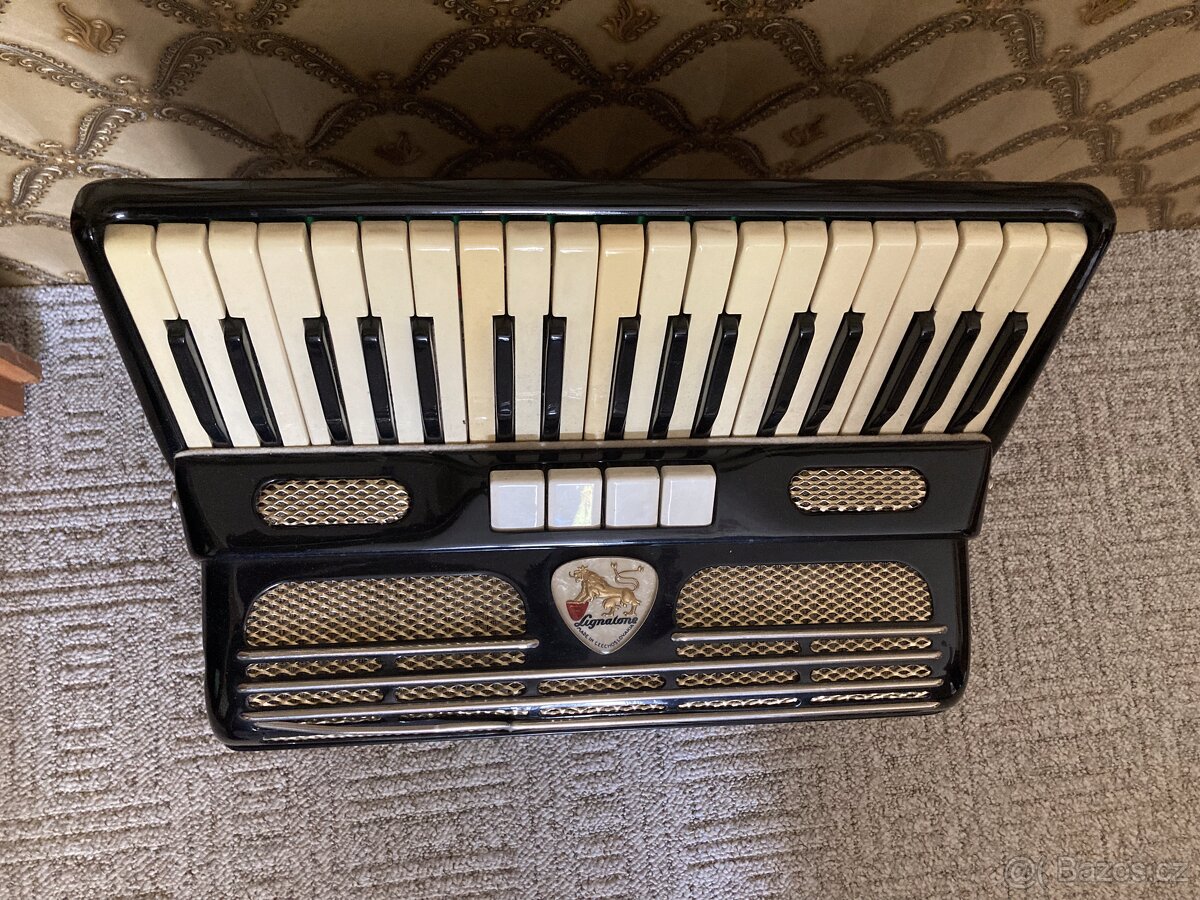 Akordeon Lignatone Melodia II - 2