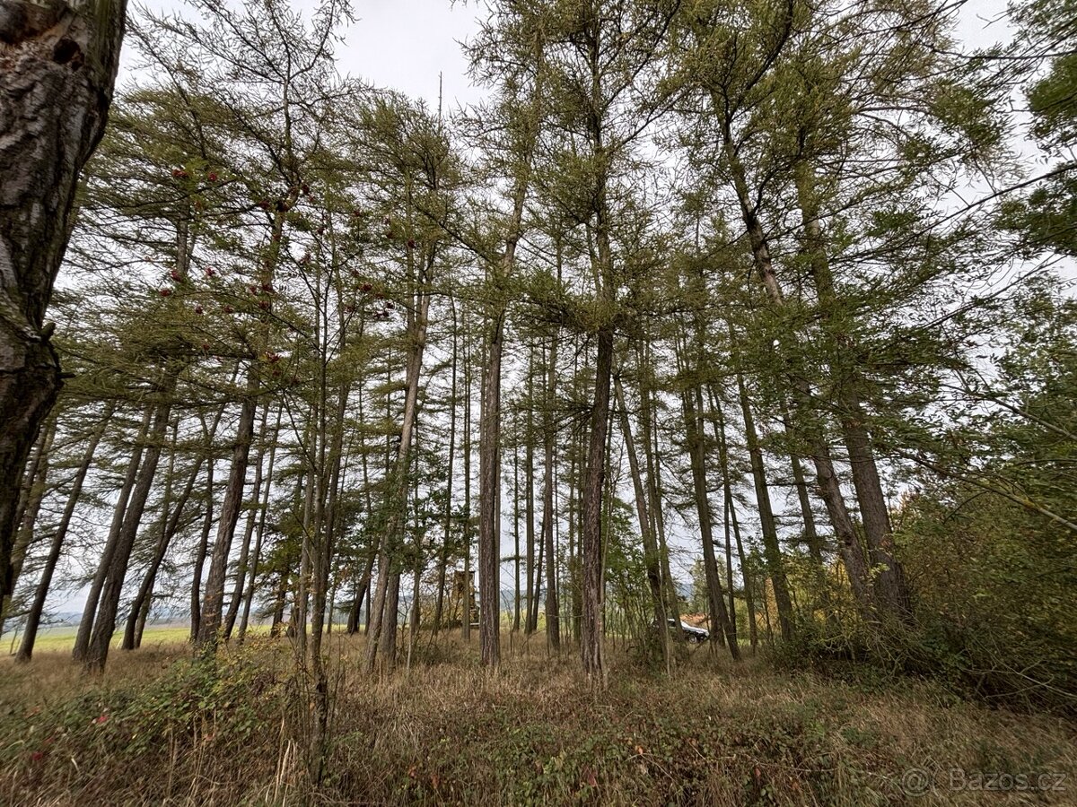 Prodej, pozemek, 8 157 m, , Plánice - Štipoklasy, Česko - 2