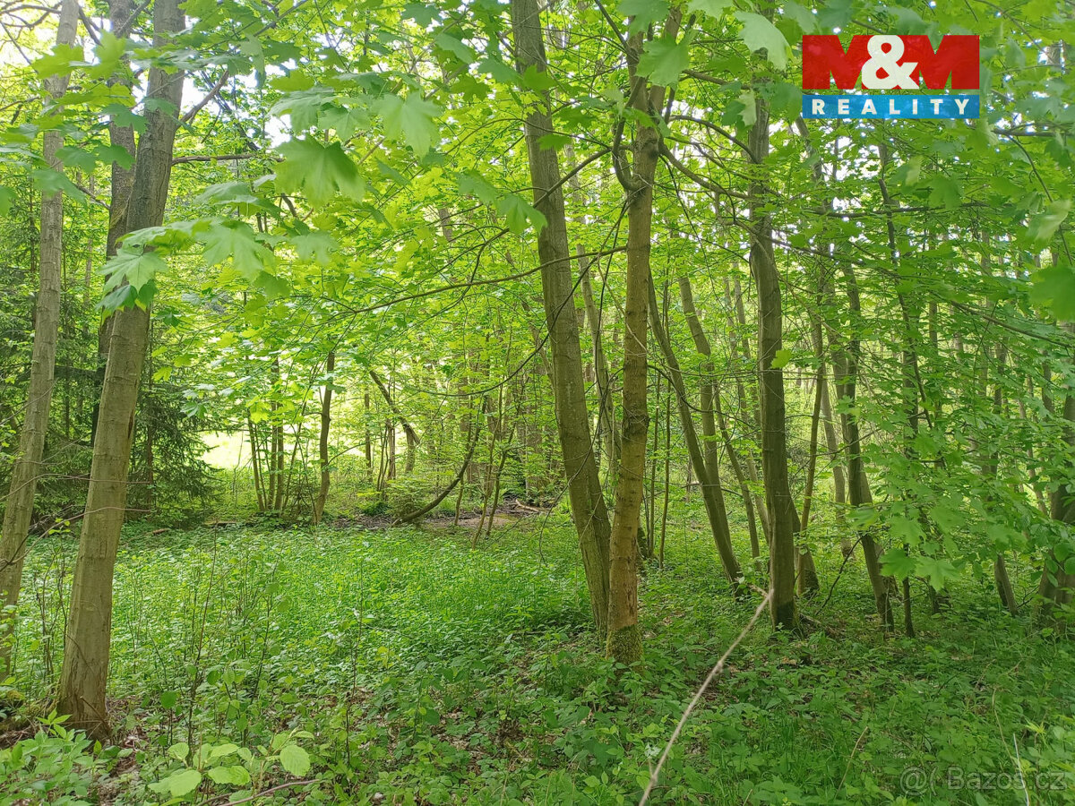 Prodej louky, 7967 m², Kořenov, Liberec - 2