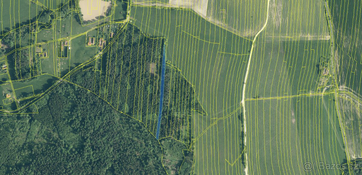 Prodám lesní pozemky v k.ú. Ločenice, p.č. 3857/9 a 3904 - 2