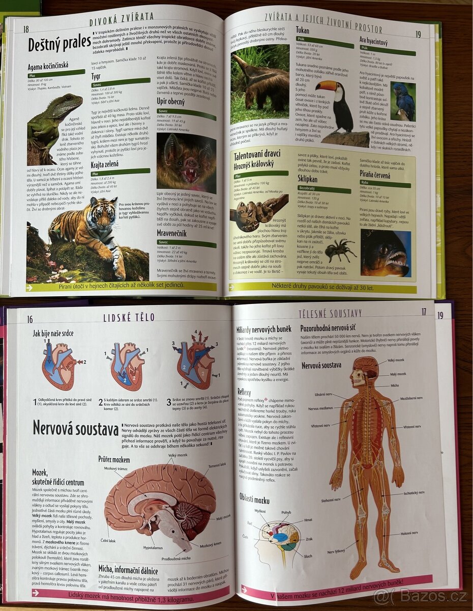Komplet 7 ks tematických knih + další 4 ks - 2
