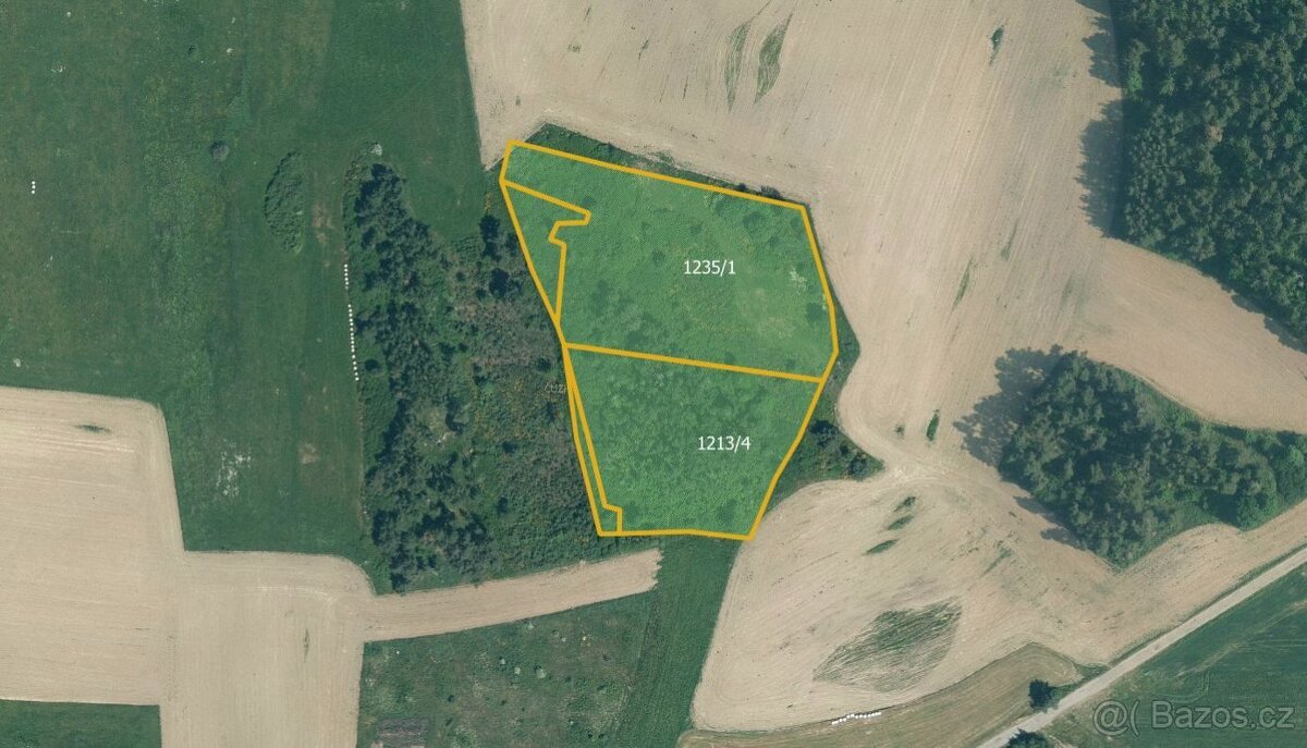 Zemědělská půda, prodej, Velký Bor, Klatovy - 2