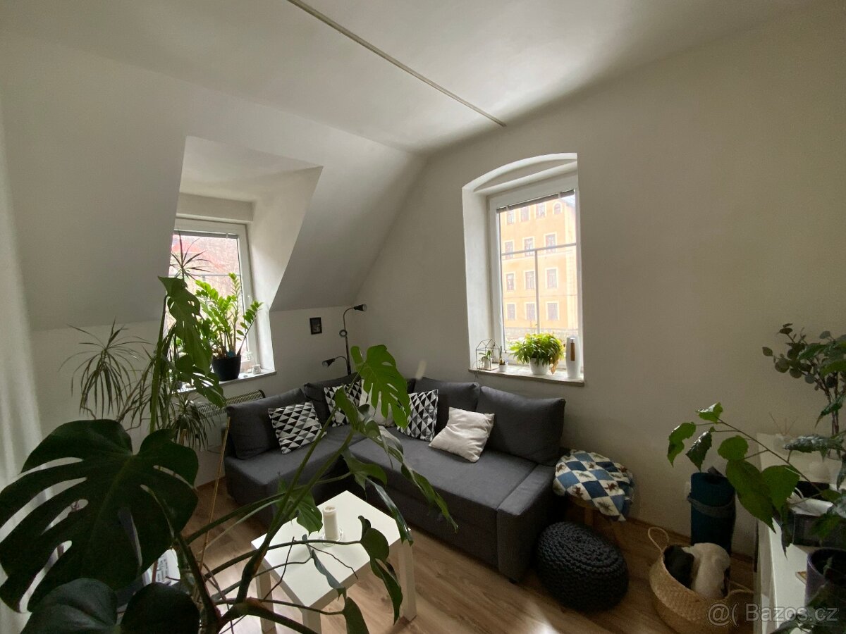 Bytový dům se třemi byty v OV a zahradami v OV a parkováním - 2