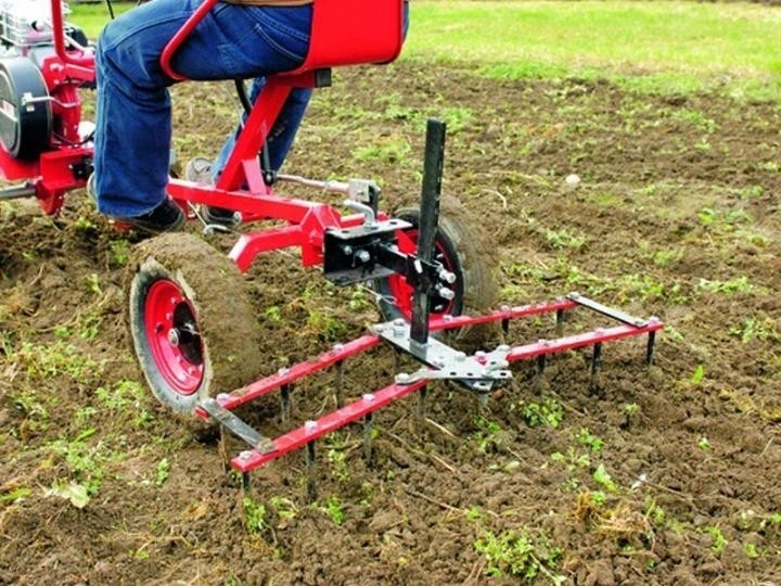 Brána Mountfield - 2