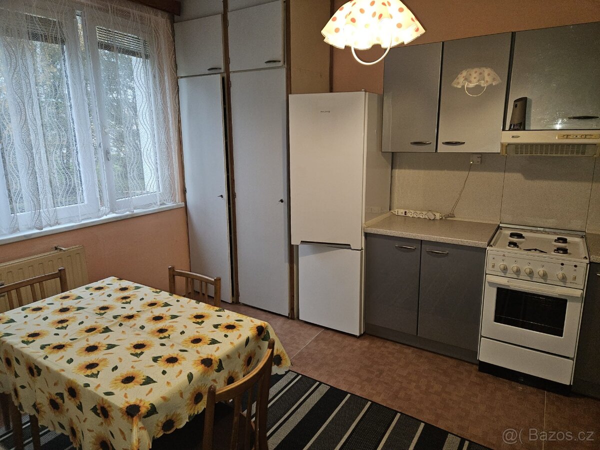 Pronájem bytu 1+1 Mariánské lázně - 2