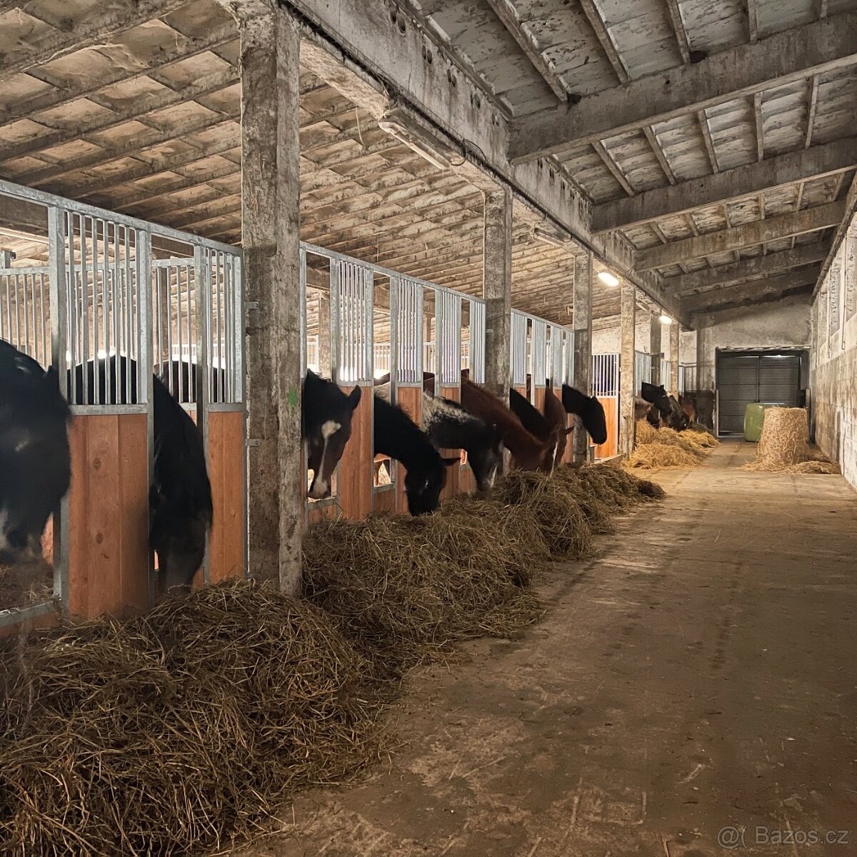 HŘÍBÁRNA NA EDENU - 2