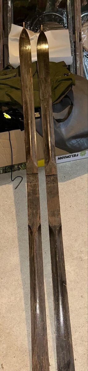 Lyže a obal na housle - 2