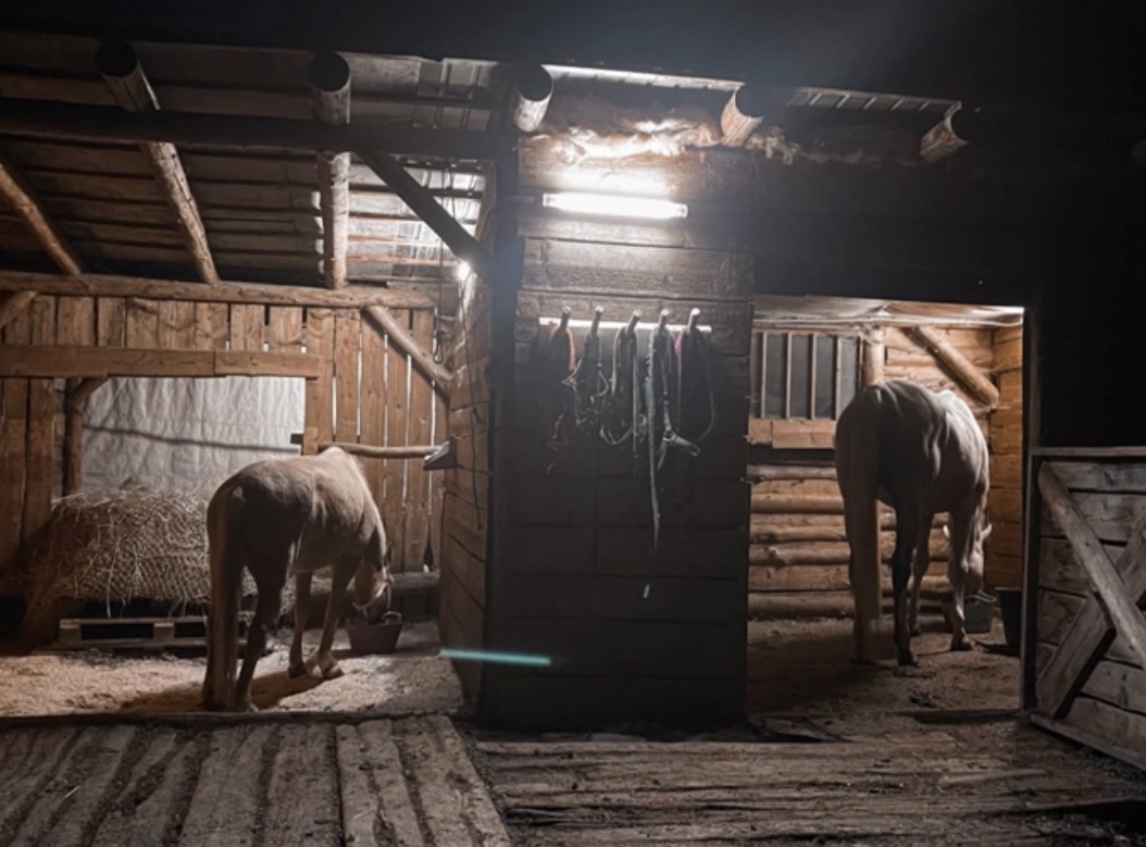 Ustájení u Přerova - 2