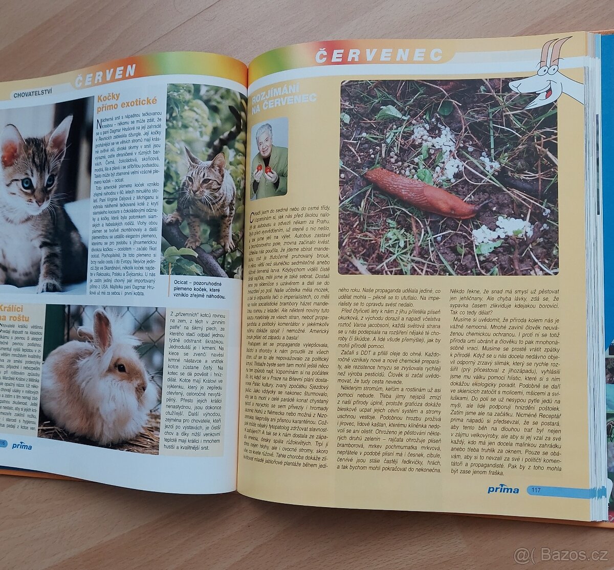 Recepty prima nápadů - 2