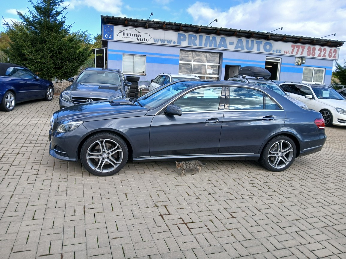 Mercedes E 250 Bluetec 108Tis Km DPH - 2