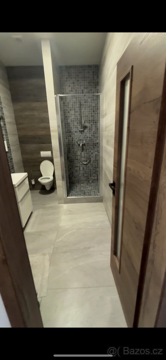 Pronájem nově zrekonstruovaných bytů - 2