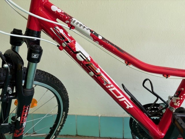 Prodám dětské kolo Superior Paint 24 - 2